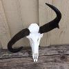 2017 Freak Pronghorn Complete