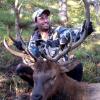 2012 Bull
